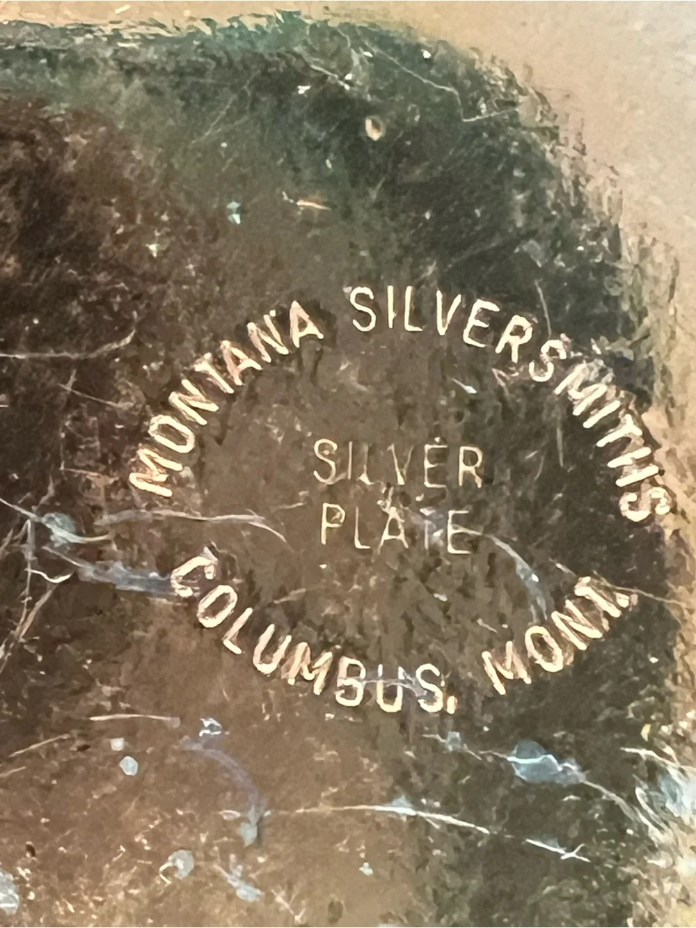 Montana Silversmiths Boundless Montana Legacy TriColor Western Women Belt Buckle